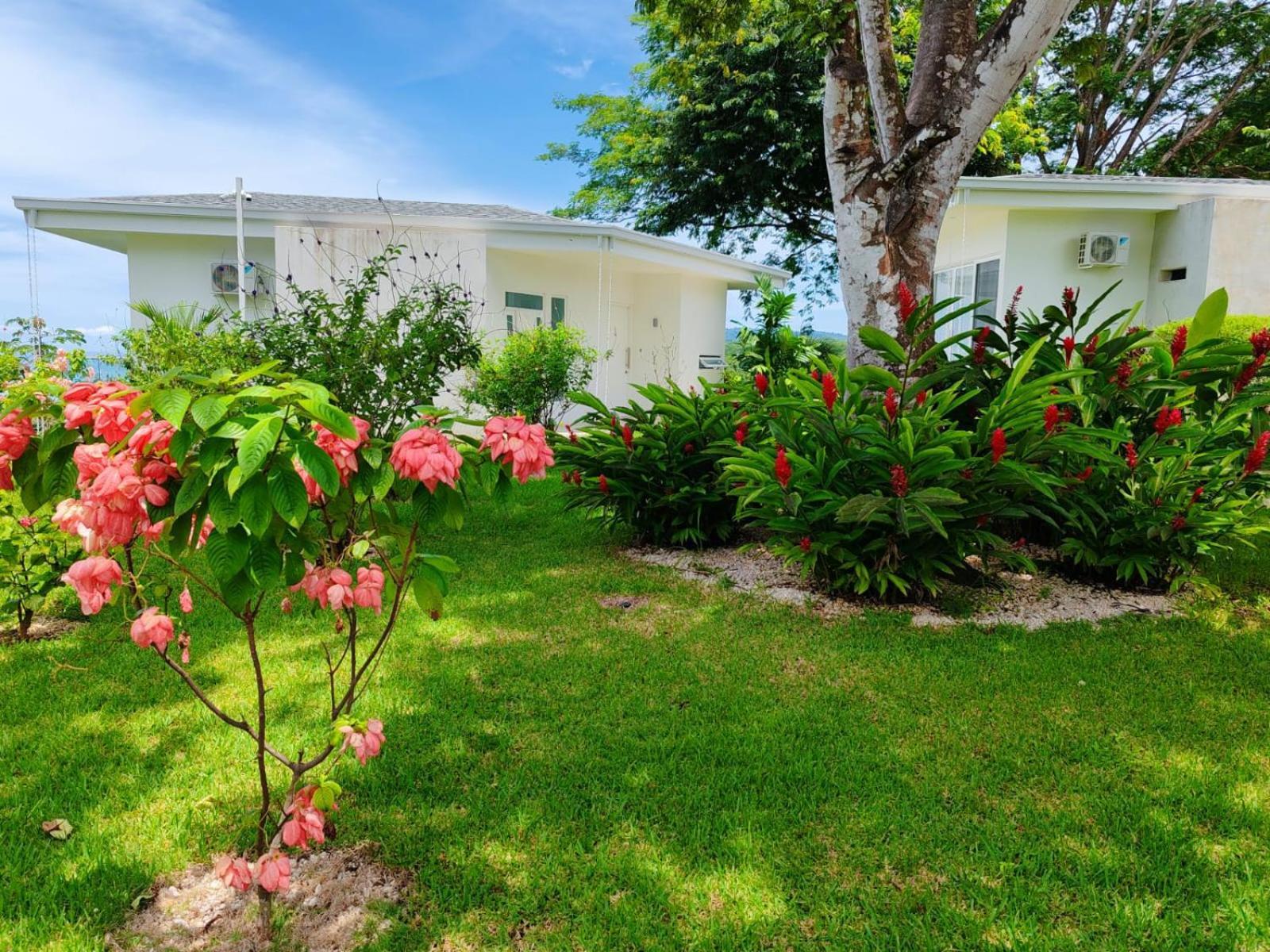 מונטזומה Adeluna Luxury Villas מראה חיצוני תמונה